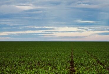 AGU pede que STF prorrogue suspensão de lei do MT sobre Moratória da Soja