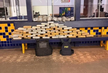 Força Tática apreende 73 kg de supermaconha em Rondonópolis