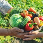 Ações fortalecem segurança alimentar e nutricional e o apoio à agricultura familiar