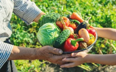 Ações fortalecem segurança alimentar e nutricional e o apoio à agricultura familiar