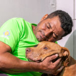 Após ser enterrado vivo, cão ‘Vivente’ recebe cuidados e aguarda adoção em Cuiabá