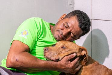Apos ser enterrado vivo cao Vivente recebe cuidados e aguarda adocao em Cuiaba -CenárioMT