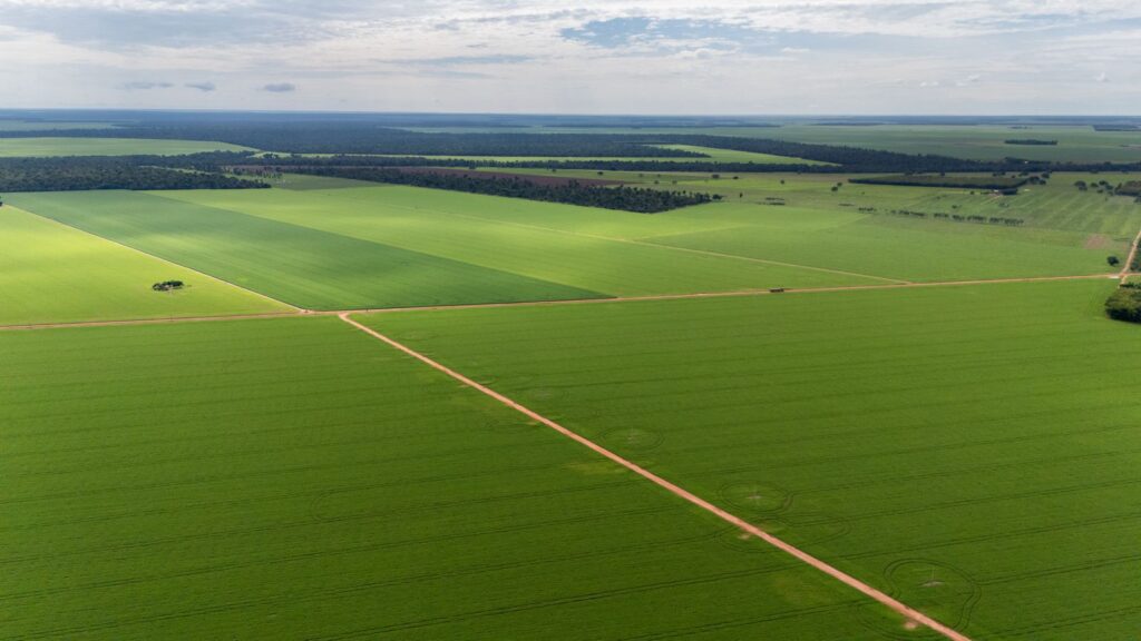 Aprosoja MT alerta que piso mínimo do frete amplia custos e compromete a competitividade do agro