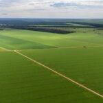 Aprosoja MT alerta que piso mínimo do frete amplia custos e compromete a competitividade do agro