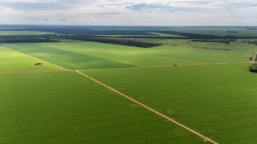 Aprosoja MT alerta que piso mínimo do frete amplia custos e compromete a competitividade do agro