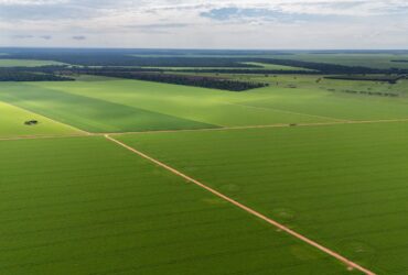 Aprosoja MT alerta que piso mínimo do frete amplia custos e compromete a competitividade do agro