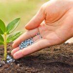 Aprosoja MT destaca importância da prorrogação do diferimento do ICMS para fertilizantes em Mato Grosso