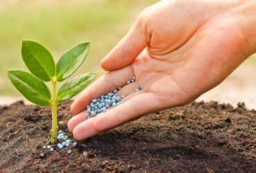 Aprosoja MT destaca importância da prorrogação do diferimento do ICMS para fertilizantes em Mato Grosso