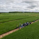 Aprosoja MT realiza visitas técnicas no CTECNO Parecis e Araguaia e Giro de Pesquisa no Vale do Guaporé