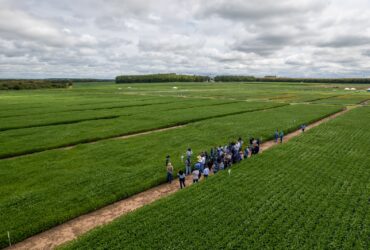 Aprosoja MT realiza visitas técnicas no CTECNO Parecis e Araguaia e Giro de Pesquisa no Vale do Guaporé
