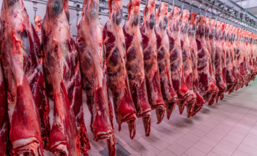Boi gordo e carne bovina mantêm preços firmes no início de 2026