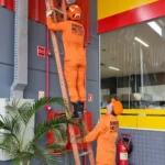 Resgate de jupará em Confresa mobiliza Bombeiros