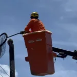 Resgate de gambá mobiliza Bombeiros em Lucas do Rio Verde
