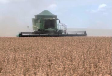 Com boas expectativas, produtores de Lucas do Rio Verde iniciam colheita da soja 25/26