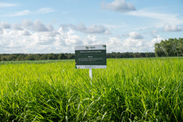 CTECNO Parecis fortalece a sustentabilidade no campo ao longo de uma década