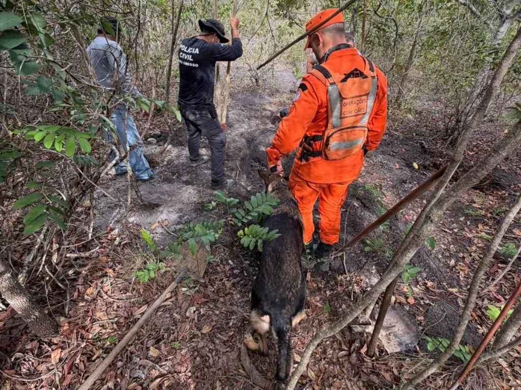Cão de busca do Corpo de Bombeiros encontra corpo em MT
