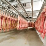 Carne suína: exportações avançam mais de 77% na parcial de janeiro de 2026