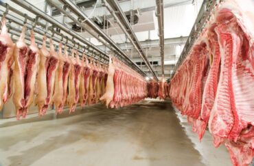 Carne suína: exportações avançam mais de 77% na parcial de janeiro de 2026
