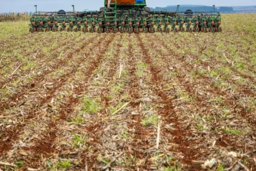 Chuvas reduzem ritmo de implantação do algodão, mas plantio segue dentro do esperado em MT