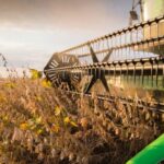 Colheita da soja avança em Lucas do Rio Verde e produtores entram na janela ideal para o plantio do algodão