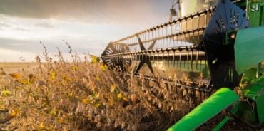 Colheita da soja avança em Lucas do Rio Verde e produtores entram na janela ideal para o plantio do algodão