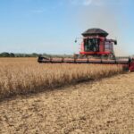 Colheita de soja avança com força em Mato Grosso e abre caminho para milho e algodão