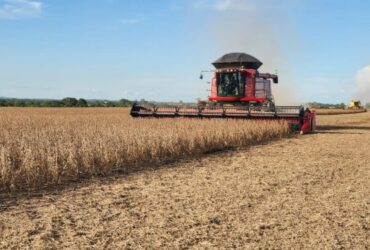 Colheita de soja avança com força em Mato Grosso e abre caminho para milho e algodão
