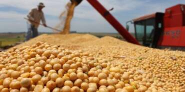 Colheita pressiona preço da soja e impulsiona margem das indústrias em Mato Grosso