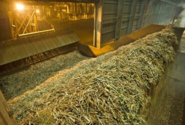 Com alta de 7,4%, safra de cana em MT fortalece setor sucroenergético