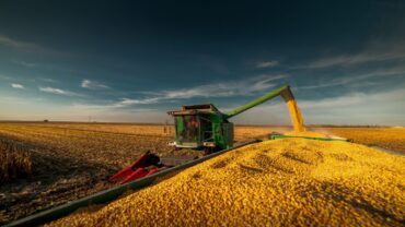 A agropecuária foi um grande motor da economia brasileira em 2025.