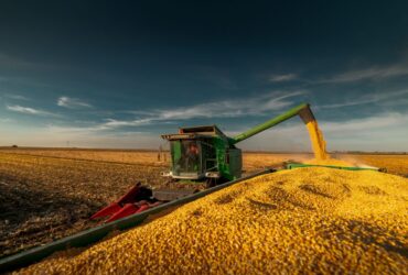 A agropecuária foi um grande motor da economia brasileira em 2025.