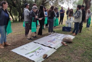 Controle do carrapato é um desafio para a pecuária gaúcha