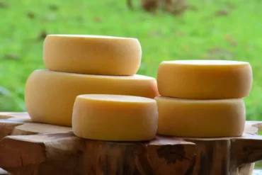 Dia Mundial do Queijo o sabor artesanal brasileiro que conquista o mercado