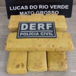 DERF apreende cerca de 5 kg de maconha enterrados em bairro de Lucas do Rio Verde