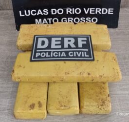 Droga foi localizada após trabalho de investigação no bairro Tessely Jr.;