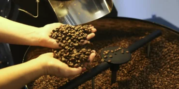 Exportações de café desaceleram no início da safra 2025/26, mas receita cresce e Alemanha assume liderança