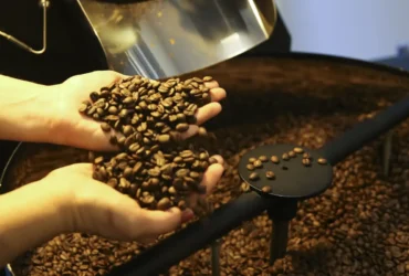 Exportações de café desaceleram no início da safra 2025/26, mas receita cresce e Alemanha assume liderança
