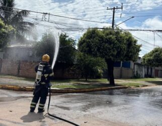 Ocorrência foi registrada na rua Napoli, no bairro Veneza; não houve vítimas, apenas danos materiais em cabos danificados
