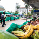 Feiras impulsionam economia local e movimentam quase R$ 1 milhão em Cuiabá