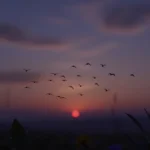 Frases Curtas para Status – Hoje, 1º de Fevereiro