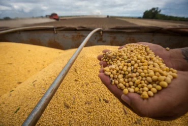 Fim da moratória reforça segurança jurídica e protagonismo de Mato Grosso no agro