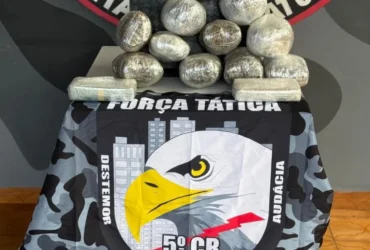 Apreensão de drogas em General Carneiro rende prisão em ônibus