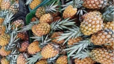 Frutas produzidas no RS têm aumento de consumo no verão