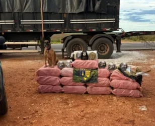 Apreensão de skank em Diamantino causa prejuízo de R$ 1,8 milhão