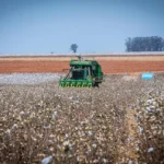 Governo de MT prorroga diferimento do ICMS para fertilizantes