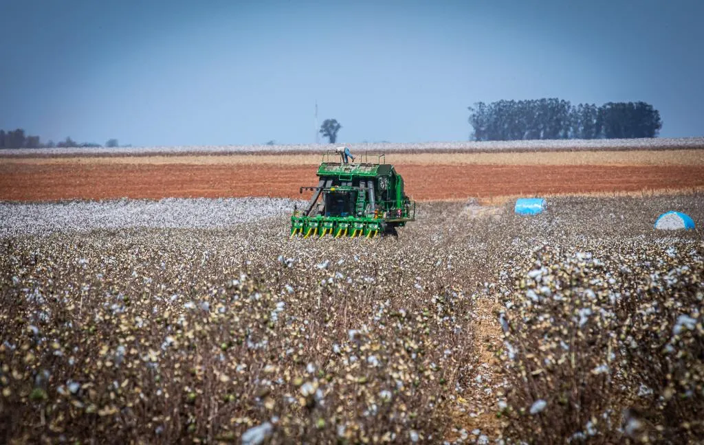 Governo de MT prorroga diferimento do ICMS para fertilizantes