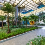 Governo divulga calendário de pagamentos 2026 em Mato Grosso