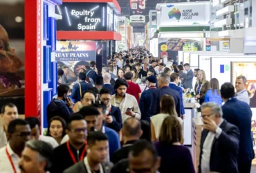 ​Invest MT e IBRAFE levam feijões, pulses e gergelim de Mato Grosso à Gulfood, em Dubai