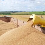 Importações recordes de trigo em 2025 pressionam preços no campo e deixam mercado retraído no início de 2026