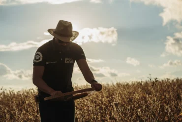 Rally da Safra volta ao Mato Grosso para reavaliar evolução das lavouras de soja
